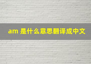 am 是什么意思翻译成中文